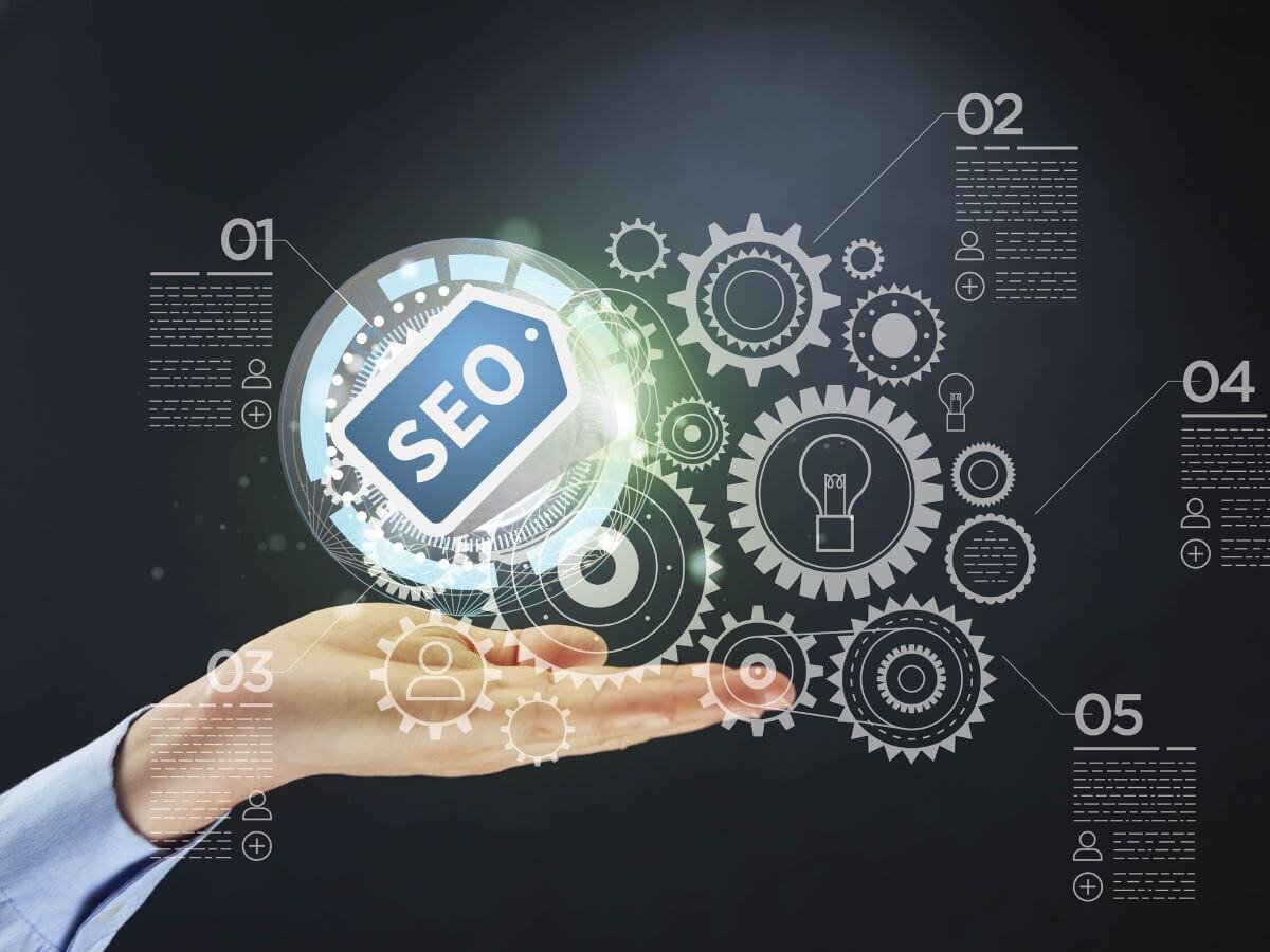 seo para principiantes